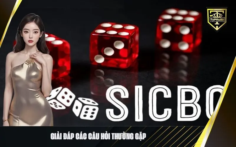 Giải đáp các câu hỏi thường gặp