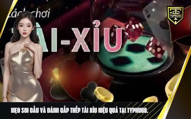 Mẹo soi cầu và đánh gấp thếp tài xỉu hiệu quả tại typhu88.