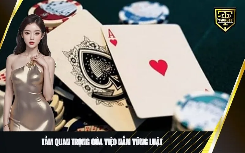 Tầm Quan Trọng Của Việc Nắm Vững Luật